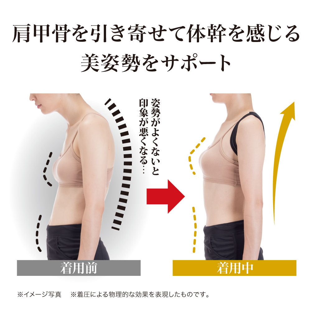 体幹加圧エクサベルト