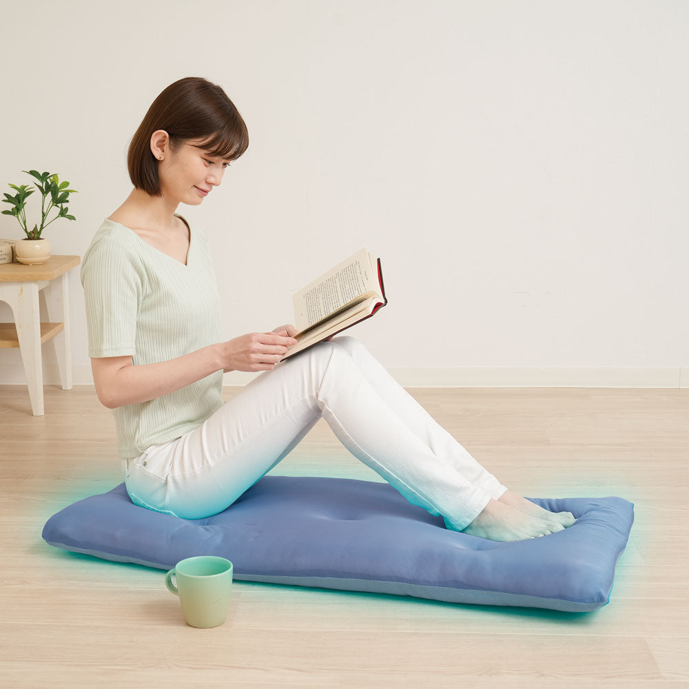 洗える!ひんやりボリュームソファパッド 2人掛け用