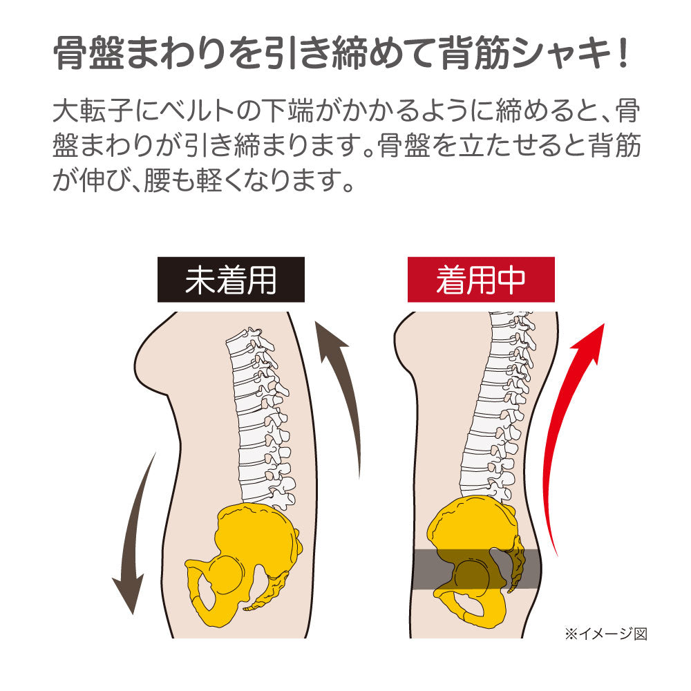 DrPRO簡単装着薄型骨盤ベルト