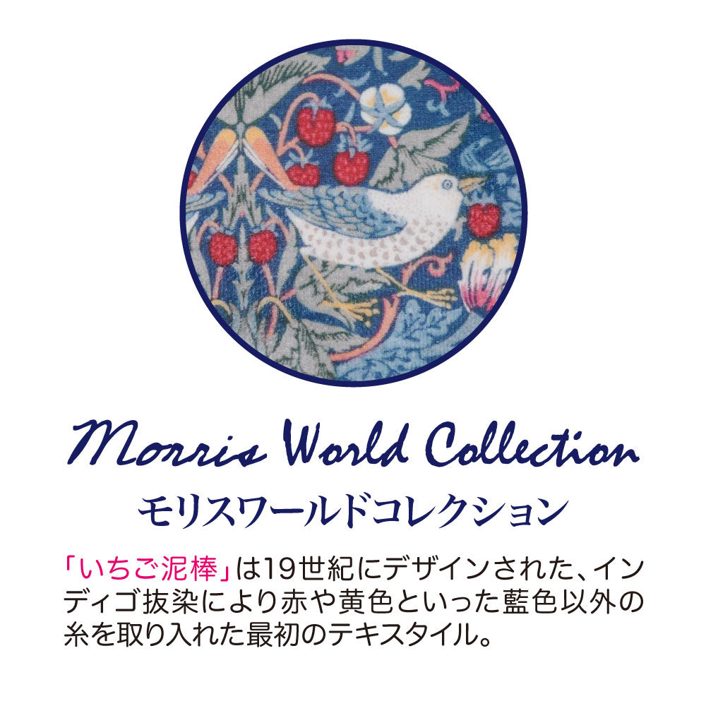 モリスワールドコレクション 玄関マット 45×60cm