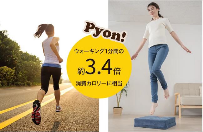 体幹ぴょんぴょんホップステッパー スリム