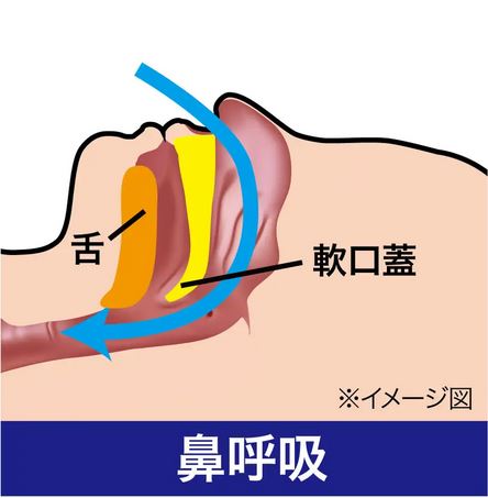 薄型ナイトサイレンサー