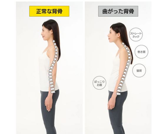 人気 寝ている時に背骨が当たって痛い クッション