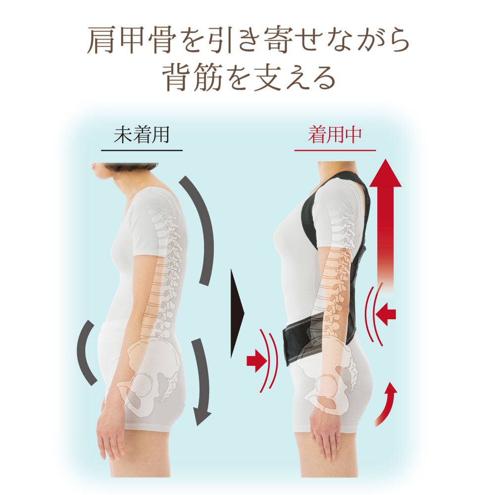 姿勢リセットベルト