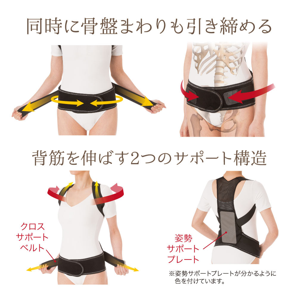 姿勢リセットベルト